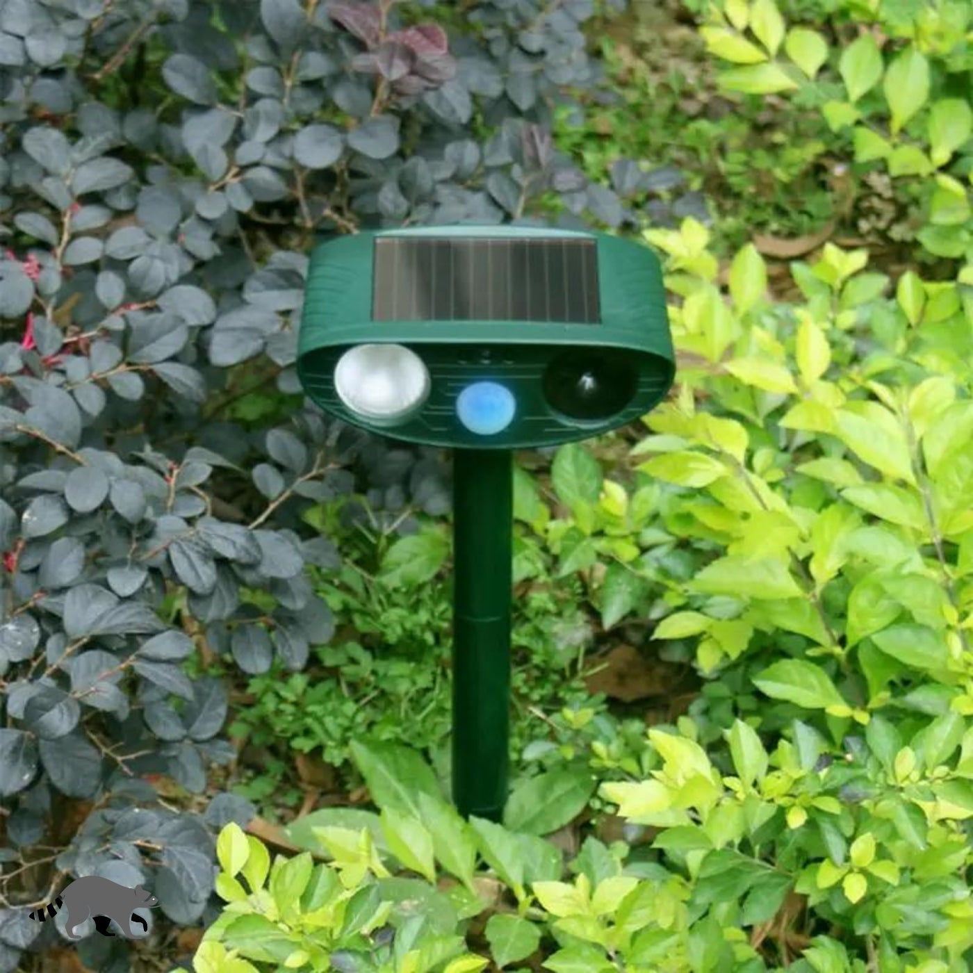 Solar-Powered Ultrasonic Raccoon Repeller