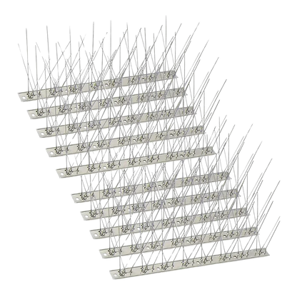 Raccoon Spikes