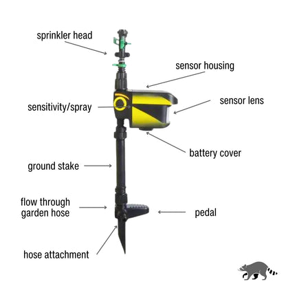 Motion-Activated Sprinkler